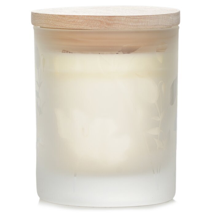 Lampe Berger (Maison Berger Paris) Scented Candle - Aroma Relax 180g